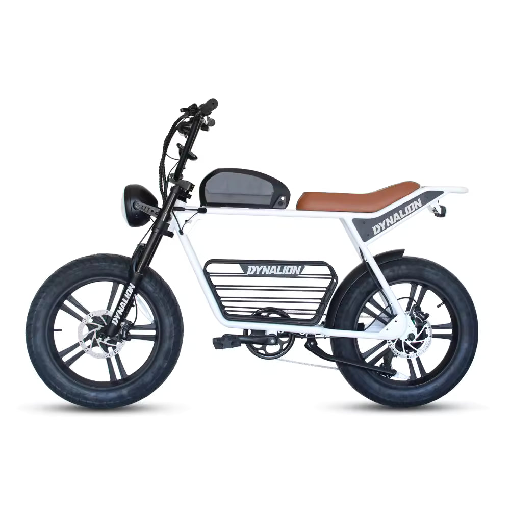 DYNALION K7-2 1000W 20-Inch Fat Tire Mountain E-Bike The Wright Bikes